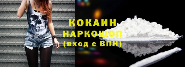 стаф Алзамай