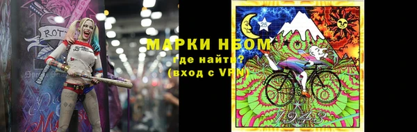 стаф Алзамай