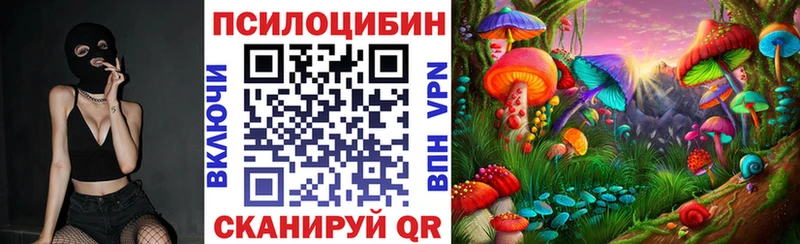 наркошоп  Майкоп  МЕГА рабочий сайт  Псилоцибиновые грибы мицелий 
