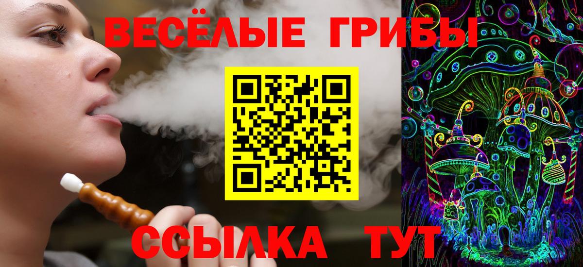 Галлюциногенные грибы мухоморы Майкоп