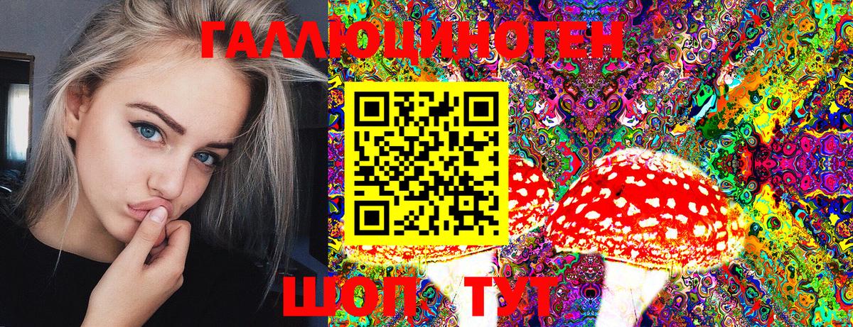 Псилоцибиновые грибы Cubensis  Галлюциногенные грибы MAGIC MUSHROOMS  Вход с VPN  Майкоп 